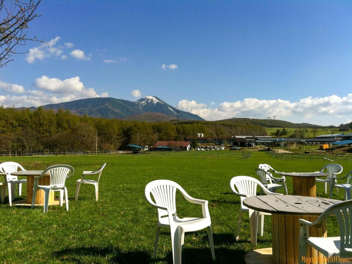 Pension Wildflowers Tateshina  Bagian luar foto