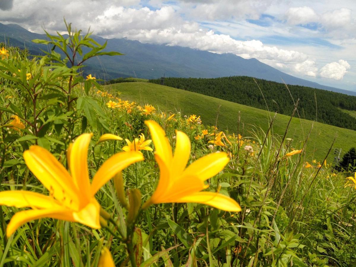 Pension Wildflowers Tateshina  Bagian luar foto