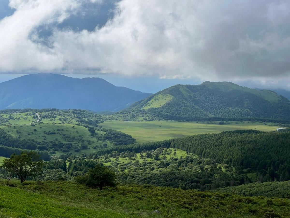 Pension Wildflowers Tateshina  Bagian luar foto