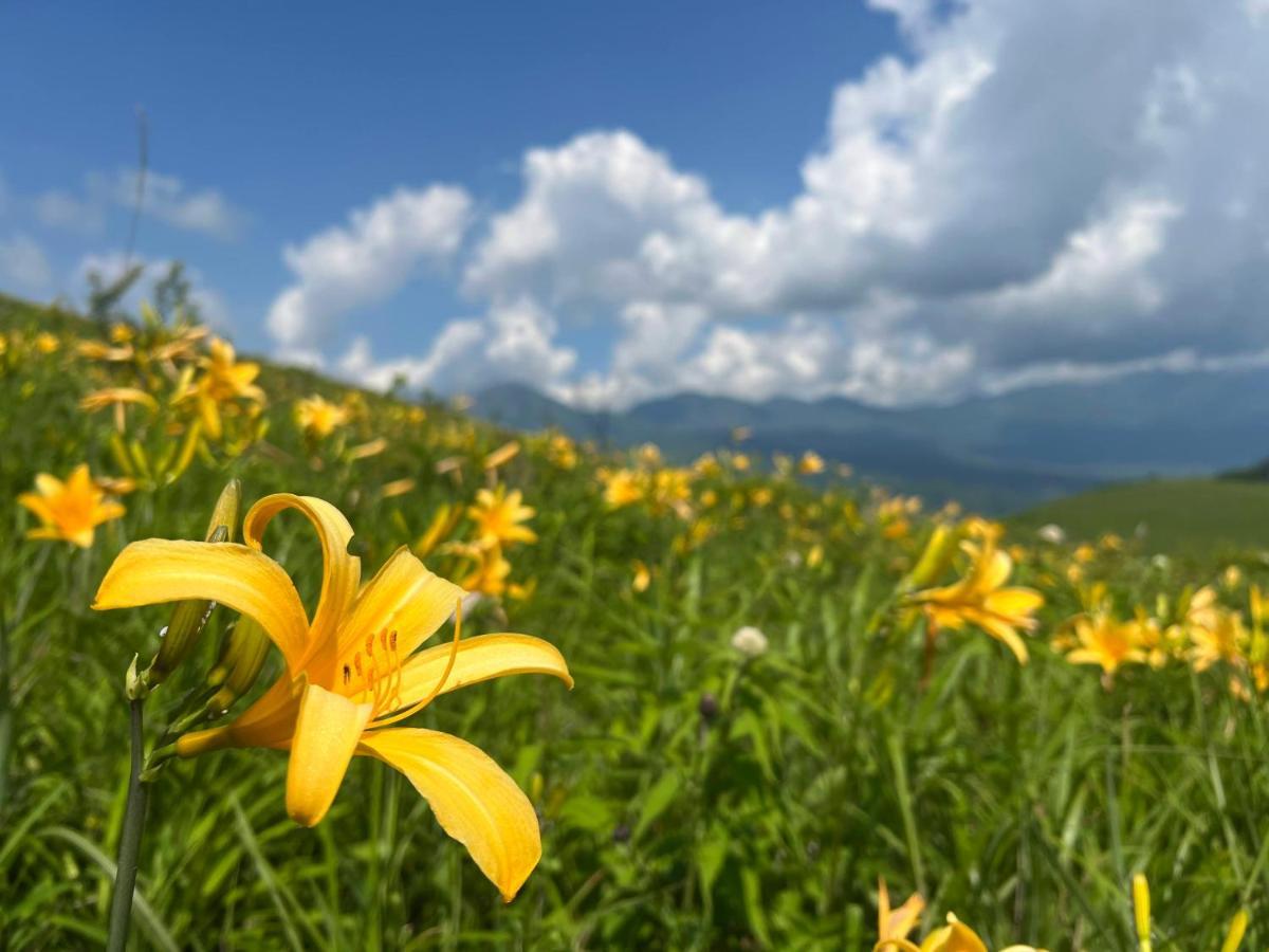 Pension Wildflowers Tateshina  Bagian luar foto