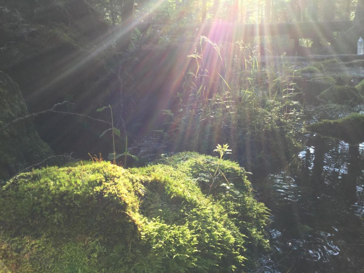 Pension Wildflowers Tateshina  Bagian luar foto