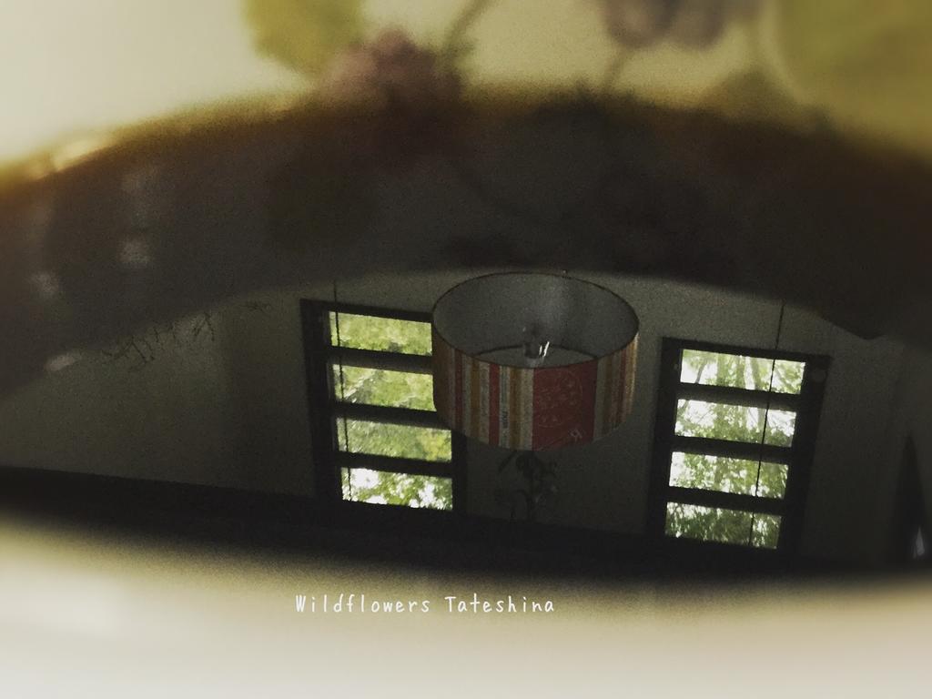 Pension Wildflowers Tateshina  Bagian luar foto