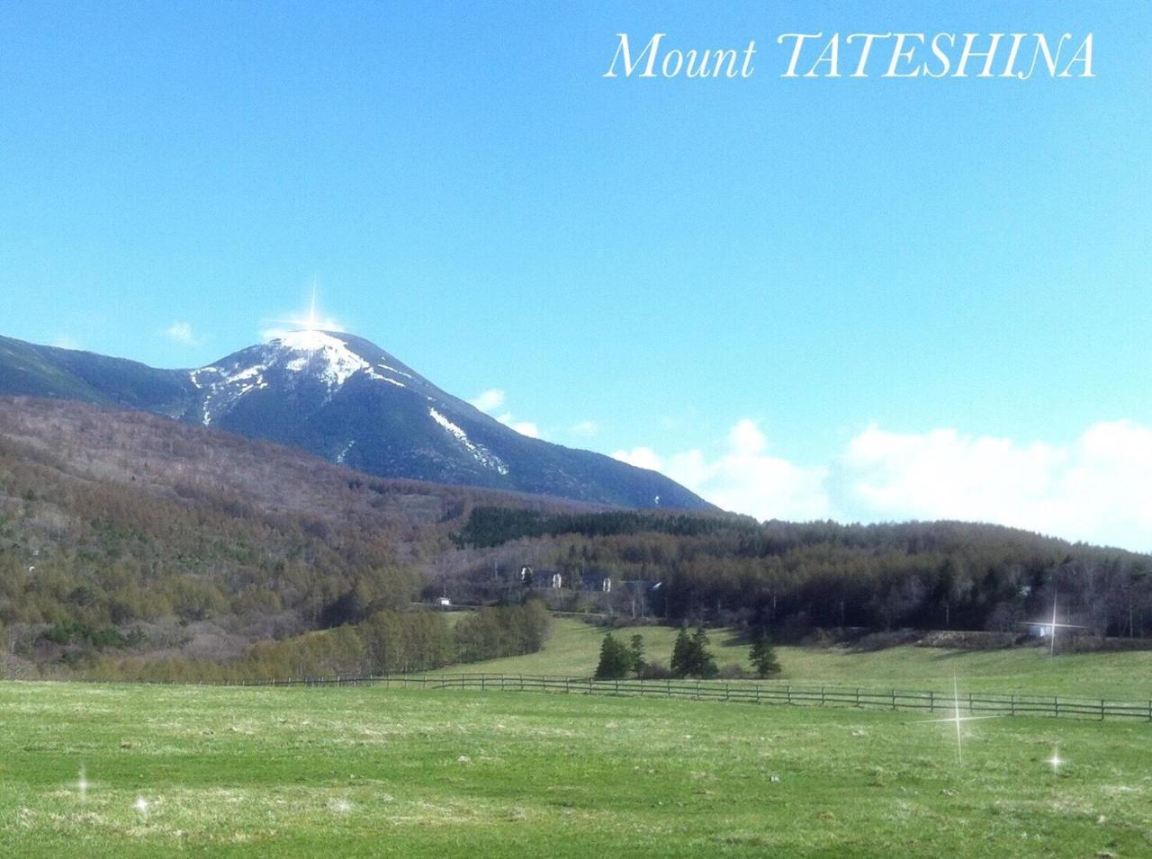 Pension Wildflowers Tateshina  Bagian luar foto