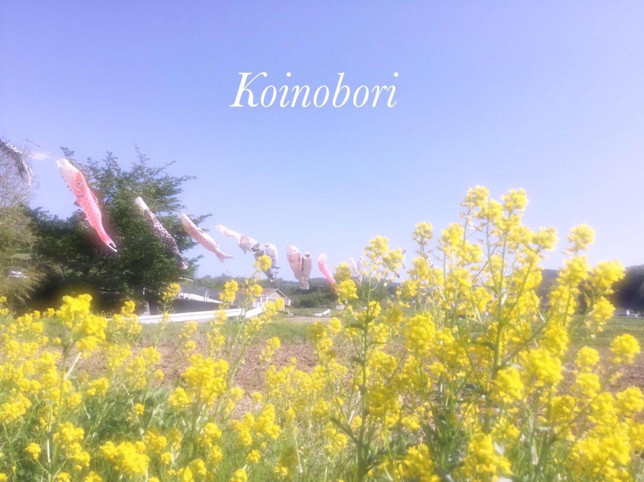 Pension Wildflowers Tateshina  Bagian luar foto