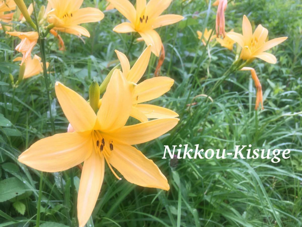 Pension Wildflowers Tateshina  Bagian luar foto