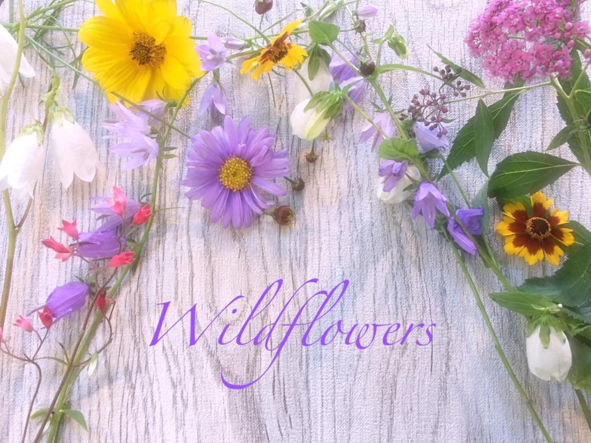 Pension Wildflowers Tateshina  Bagian luar foto