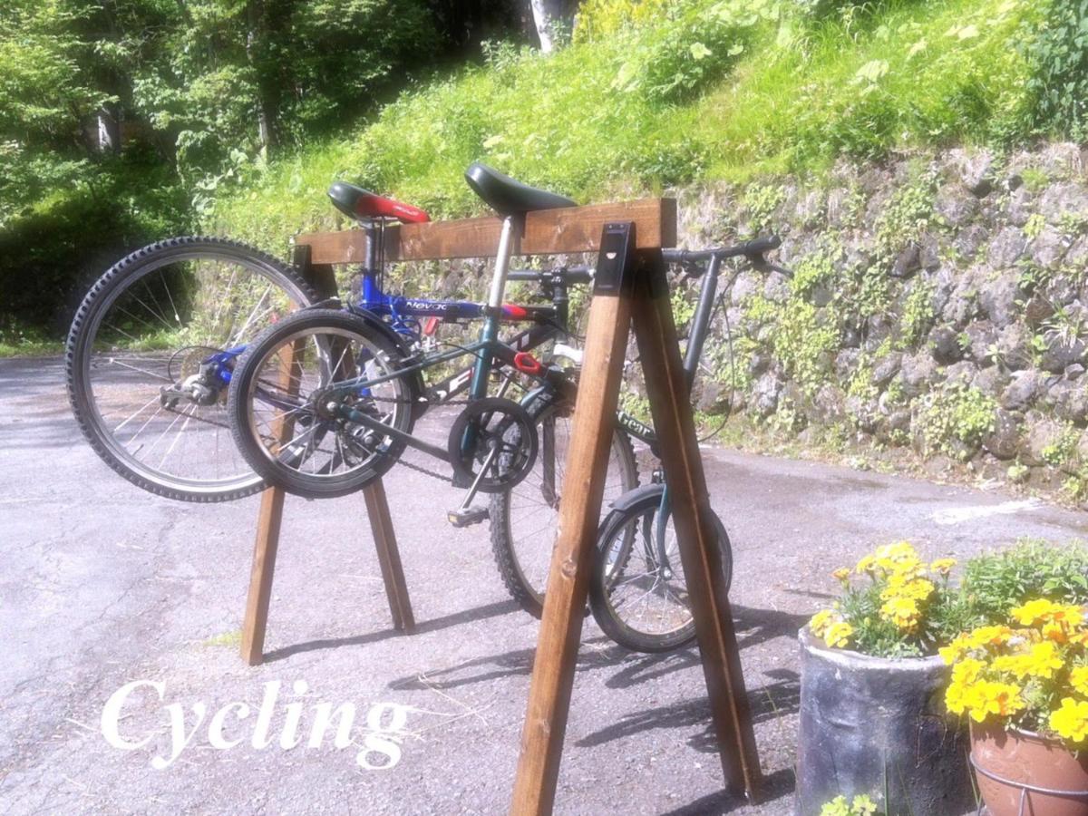 Pension Wildflowers Tateshina  Bagian luar foto
