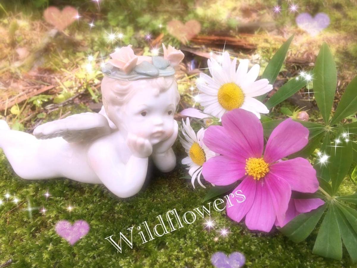 Pension Wildflowers Tateshina  Bagian luar foto